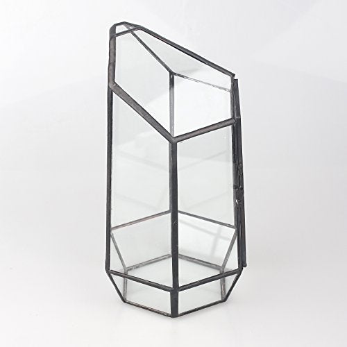 NCYP Small 5.1" x 5.1" x 8.66" Irregular Geometric Glass Terrarium Planter with Door - Home Tabletop Display Container Pot for Moss, Fern - Indoor Clear Decor, Black (No Plants)
