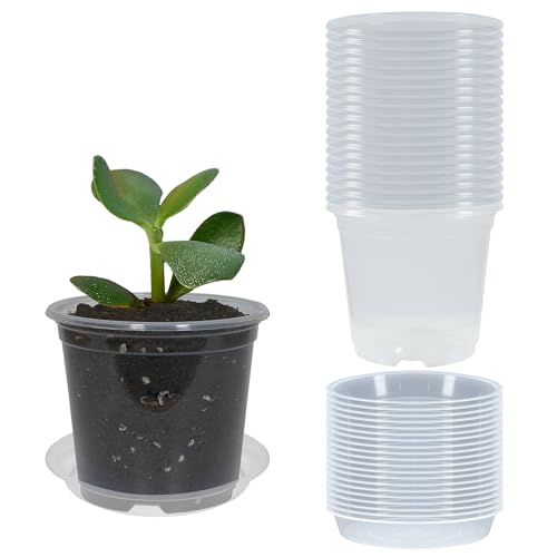 20 Pack 3 Inch Clear Nursery Pots with Drainage and 20 Pack Plant Saucers, Plant Pots for Plants Transparent Potting Containers for Plants Seeding Starter Pot (Clear, 3 Inch) - size: 3 Inch
