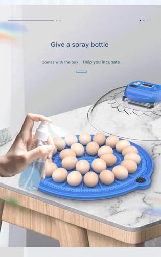 JUJOJB 12-Egg Incubator with Automatic Turner and Temperature Control | Humidity control, built-in egg candler, 360-degree clear window. For chicken, duck, quail, turkey eggs. Adjustable dividers. - color: Blue