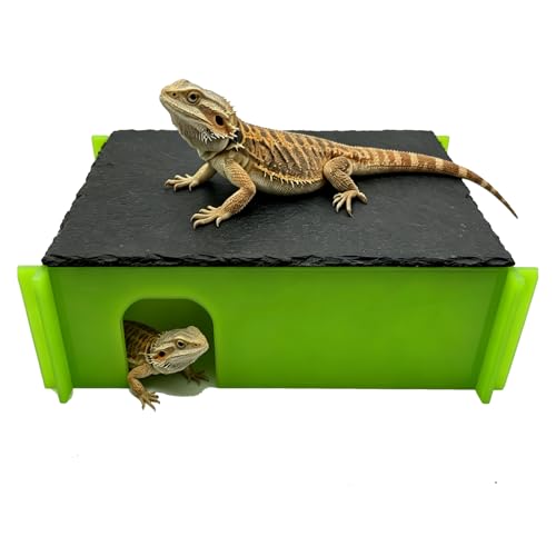 Reptile Basking Platform Hideout, Acrylic Snake Hide Cave with Natural Slate Rock, Terrarium Decor for Bearded Dragon Tank Accessories, Ball Python, Leopard Gecko, Tortoise & Chameleon (Medium Green) - color: Medium Green