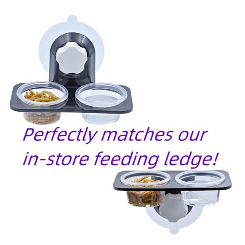 Lizard Crested Gecko Food Water Feeding Cups, 100 pcs, 1 oz | Reptile Feeder Bowls, for Lizard and Other Small Pet Ledge Accessories Supplies - color: 1oz 100