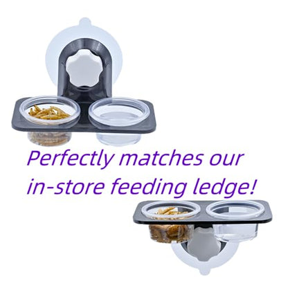 Lizard Crested Gecko Food Water Feeding Cups, 100 pcs, 1 oz | Reptile Feeder Bowls, for Lizard and Other Small Pet Ledge Accessories Supplies - color: 1oz 100