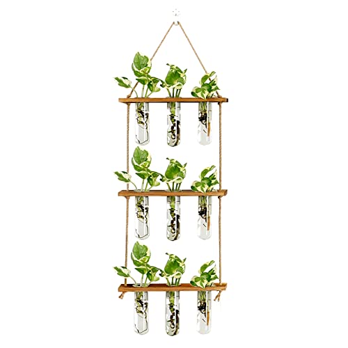 XXXFLOWER Wall Hanging Propagation Station with Wooden Stand Glass Test Tubes Tiered Planters Wall Terrarium for Home Office Plant Hanger Flower Vases Wall Decor Hydroponic Cuttings (9 Tube Vases) | Mini Flower Pothos Test Tube Vase,Wall Decor Hanging Pla