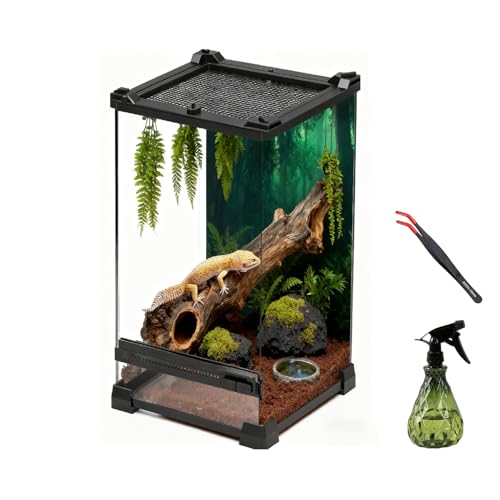Reptile Tall Glass Terrarium Rainforest Habitat Single Door with Screen Ventilation,Small Reptile Terrarium for Spiders, Tarantulas, Snail, Mantis, Lizard (10 * 10 * 13.8 inch)