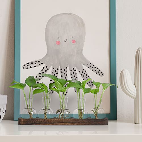 YIBOT Propagation Vases for Plants Terrarium with Wooden Tray,5 Glass Vases | Tabletop Plant Terrarium for Propagating Hydroponic, Retro Glass Planter Flower Vase Home Kitchen Office Decor Gifts - size: 5 Vase-T