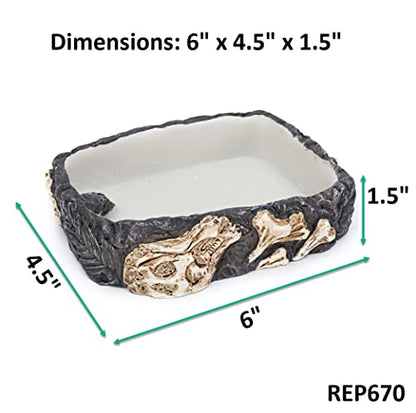 Penn-Plax Reptology Reptile Fossil Rock Food/Water Dish – Great for Bearded Dragons, Geckos, Chameleons, Snakes, Hermit Crabs, and Many More – Medium - size: Medium