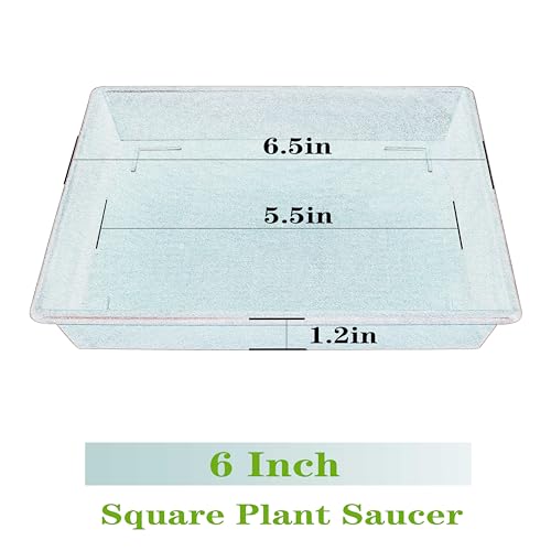 NIMYAU Square Plant Saucer 6 Inch 5 Pack6 8 12 14 16 18 20 Flower Pot No Holes Plant Drip Trays, Plant Trays for Pots Heavy Duty Plastic Plant Saucers for Indoors Outdoors - color: Red, size: 6"-5Pack