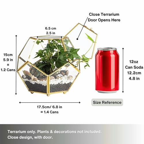 NCYP Glass Geometric Terrarium Planter with Door and Foot, Pentagon Ball Shape Glass Terrarium for Fern, Succulents, Small Plants, Gold, 6.8 x 6.8 x 5.9 inches (No Plants)
