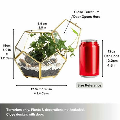NCYP Glass Geometric Terrarium Planter with Door and Foot, Pentagon Ball Shape Glass Terrarium for Fern, Succulents, Small Plants, Gold, 6.8 x 6.8 x 5.9 inches (No Plants)