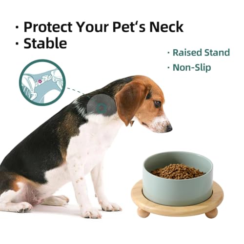 Havniva Raised Cat Bowl 6.1” Elevated Ceramic Cat Food and Water Bowl | Cat Bowls Elevated, Whisker Friendly Cat Bowl, Non-Slip Wood Stand, Food-Grade Ceramic, Wide Opening, Dishwasher Safe - color: Light Green, size: Bowl+Tray - 6.1"