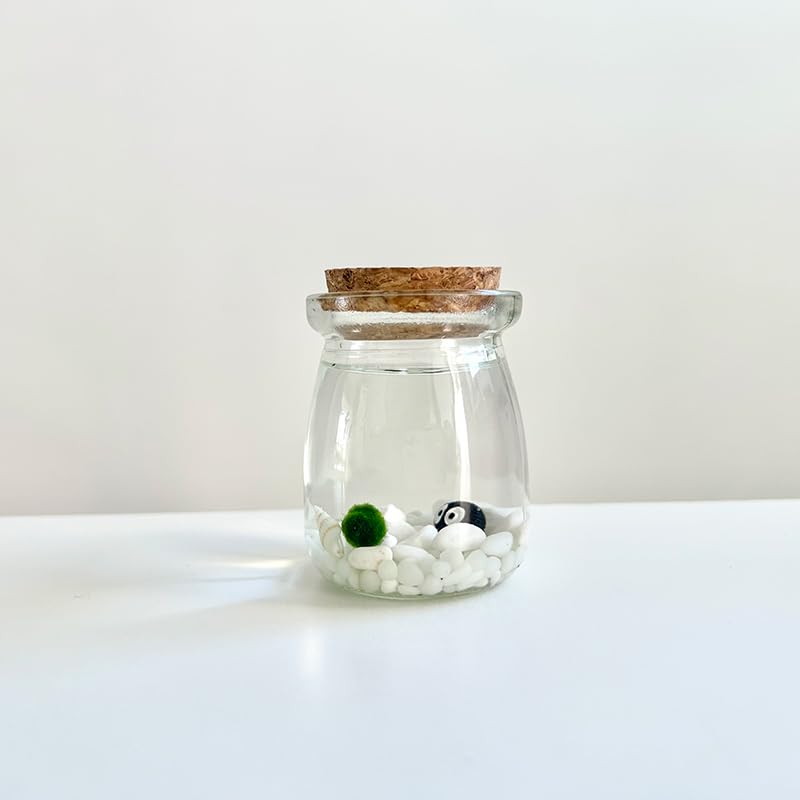 Moss Pet Glass Terrarium Jar Kit with Cork Lid, Mini Desktop Moss Plant Aquarium Decor, Home Ornament Gift