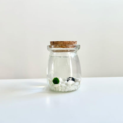 Moss Pet Glass Terrarium Jar Kit with Cork Lid, Mini Desktop Moss Plant Aquarium Decor, Home Ornament Gift