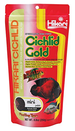 Hikari 8.8-Ounce Cichlid Gold Floating Pellets for Pets, Mini - color: Black, size: 8.8 Ounce (Pack of 1)