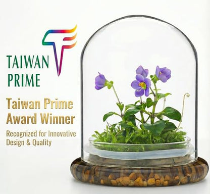 Award Winning: Persian Violet with Sundew Moss - Live Flower Terrarium in Self Sustaining Glass Jar, Maintenance Free and Blooms All-Season, Great Unique Gift and Home Decor, 100% Growth Guarantee