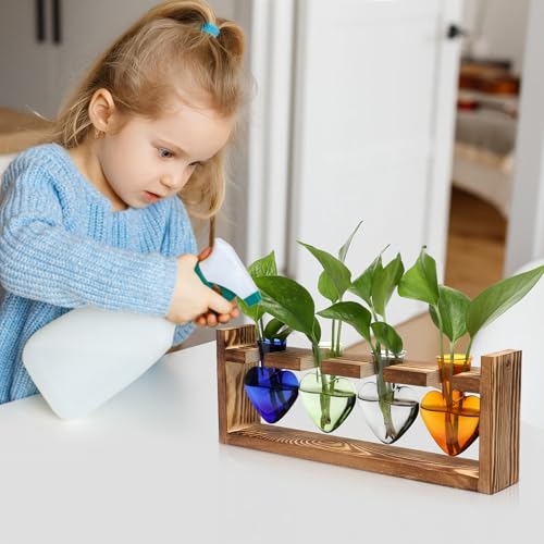 Plant Propagation Stations Heart Plant Terrarium Kit | Gift for Women Plant Lover Glass Vases - color: Color01