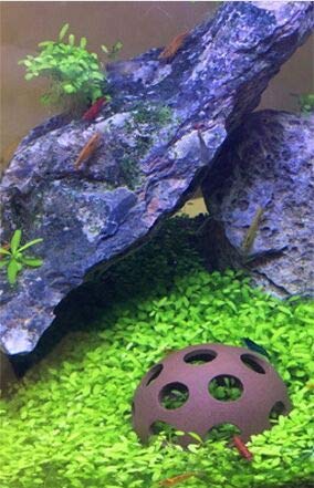 XMHF 3Pcs Aquarium Ceramic Small Fish Shrimp Crayfish Breeding Rock Cave Shelter Hiding Spots