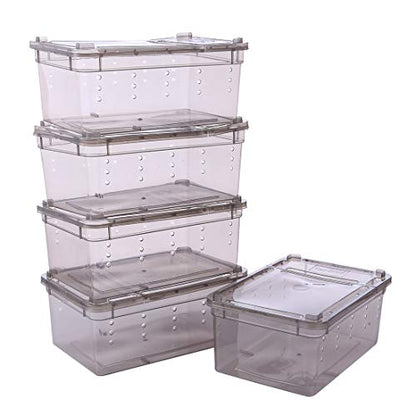 Breeding Box 5pcs, Reptile Dish Feeding Box Food Container with Lid Small (Transparent Black S)