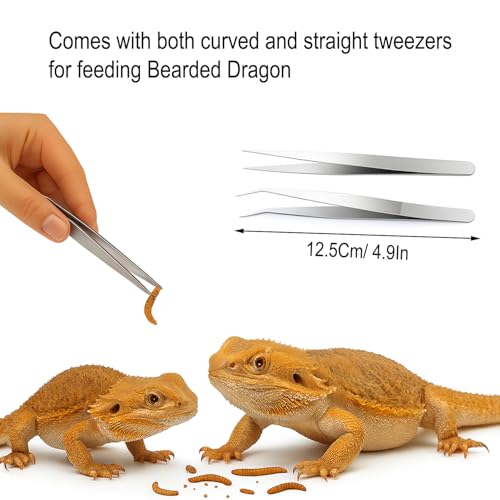 2Pcs Bearded Dragon Enrichment Toy - Foraging Toys & 2 Tweezers for Bearded Dragons to Play with – Bearded Dragon Toy for Reptiles - Reptile Terrarium Tank Accessories for Gecko, Lizard