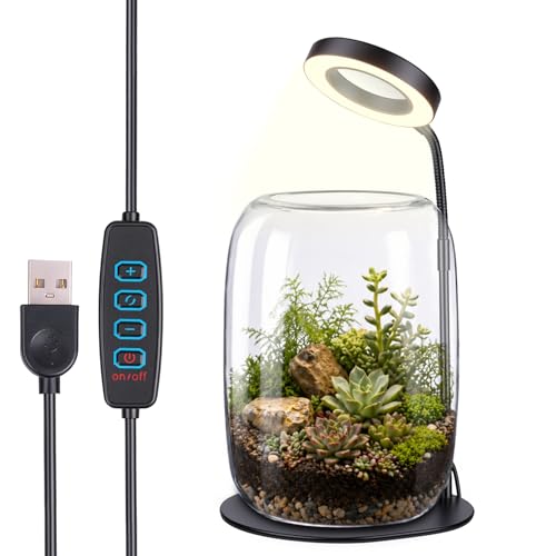 Desk Grow Light with Glass Terrarium, 5X Aperture | Full-spectrum LED, 3 modes, 10 brightness levels, USB power, 28-43 cm pole, 90° rotating head, for moss and succulents - size: 5X magnification