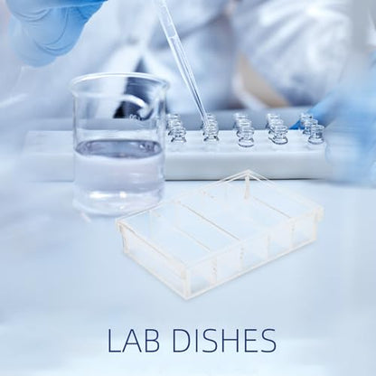 Acrylic Reptile Hatchery Box with Lid 5 Compartments Petri Dish for Fish and Specimen Cultivation Experiments Easy to Clean Versatile Use Laboratory Container
