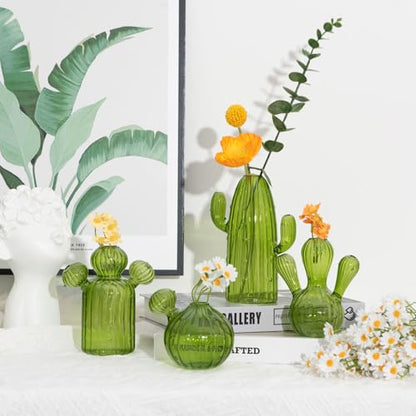 XXXFLOWER Cactus Plant Propagation Station 4 Cactus Vase Terrarium Jars | Desk Plant Cuttings Plant Holders Unique Glass Flower Vase for Hydroponics Plants for Plant Lovers Home Garden Decor - size: 4PCS Cactus Vase