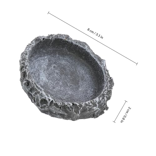 SUPVOX Reptile Food Container and Water Dish Resin Feeder Small Tortoise Feeding Bowl Multi-Function Pet Food Storage Basin for Terrarium Use