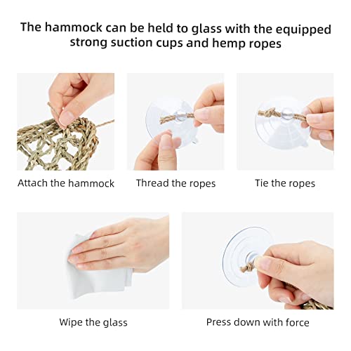 Niteangel Bearded Dragon Seagrass Hammock: Rectangle 16"x 8" & Suction Cups | Add More Climbing Space & Entertainment - Reptile Lounger for Chameleon Lizards Gecko Snakes Lguana Reptiles Tortoises - size: Rectangle 16'' x 8''