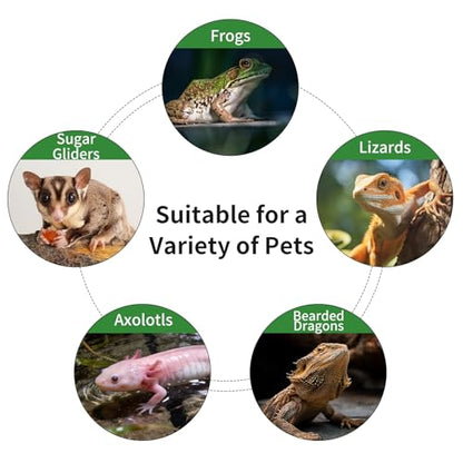 11.8 Inch Axolotl Hammock Ledge with Ceramic Dish and 3 Suction Cups | Secure Wall Mounting Creates a Comfortable Elevated Spot for Resting, Climbing and Feeding in Smooth-Sided Tanks