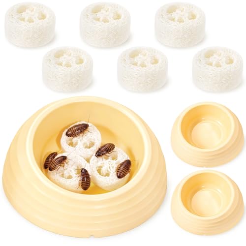2pcs Extra Large Dubia Roach Water Dish with 6pcs Luffa Inserts Water Bowl for Dubia Roach Container Springtails Cricket Setups Ideal Accessory for Insect Rearing