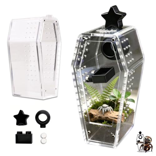 Jumping Spider Enclosure Kit, Accessories Terrarium 6PCS-Black | Black Water Feeder, Star Hide, Air-Permeable, Gap-Free Design, Escape-Proof for Tarantula, Beetle and Small Reptiles - color: Black