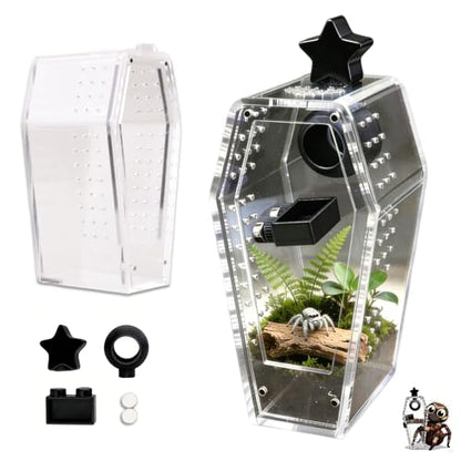 Jumping Spider Enclosure Kit, Accessories Terrarium 6PCS-Black | Black Water Feeder, Star Hide, Air-Permeable, Gap-Free Design, Escape-Proof for Tarantula, Beetle and Small Reptiles - color: Black