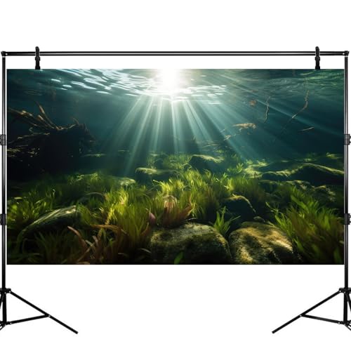 Ocean Floor Aquarium Background Underwater Green Aquatic Seagrass Fish Tank Background Under The Sea Seaweed Sunbeams Terrarium Backgrounds Misty Deep Sea Cork Caves Backgrounds for Aquarium 24x16in - size: 24(W)x16(H)inches/ 60(W)*40cm(H)