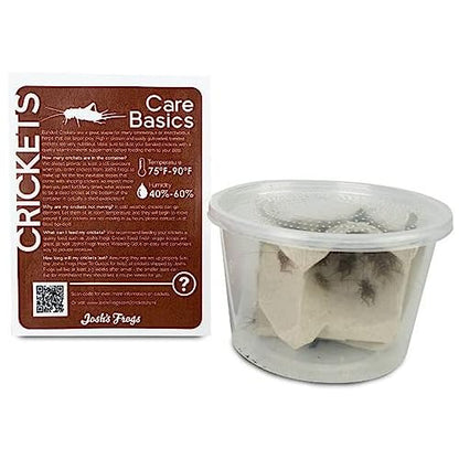 Josh's Frogs Bearded Dragon Live Feeder Insect Bundles (Juvenile)