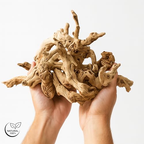 Koyal Wholesale Natural Grapewood Vase Filler Decor, 2.2-Pounds Bulk Vase Filler Branches for Terrariums, DIY Air Plant Kits, Table Scatter