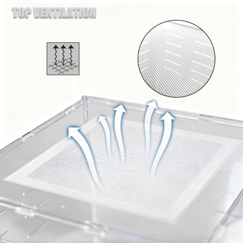 8x8x12 Acrylic Reptile Enclosure - Clear Terrarium Geckos Spiders | Metal mesh top for UVB compatibility with lightweight full-view acrylic construction - size: 8"8"12"