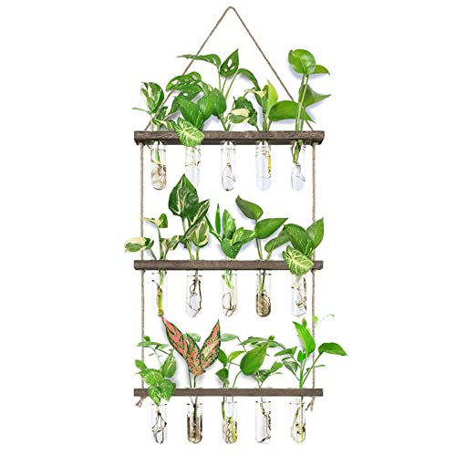 XXXFLOWER Wall Hanging Propagation Station with Wooden Stand 5 Glass Test Tubes 3 Tiered Planters Wall Terrarium for Home Office Plant Hanger Flower Vases Wall Decor Hydroponic Cuttings | 3 Tiers Plant Propagation Tubes Wall Decor Hydroponic Cuttings Plan