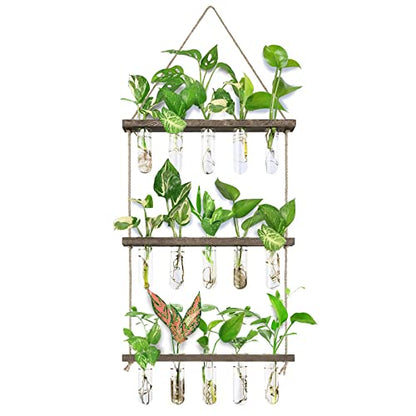 XXXFLOWER Wall Hanging Propagation Station with Wooden Stand 5 Glass Test Tubes 3 Tiered Planters Wall Terrarium for Home Office Plant Hanger Flower Vases Wall Decor Hydroponic Cuttings | 3 Tiers Plant Propagation Tubes Wall Decor Hydroponic Cuttings Plan