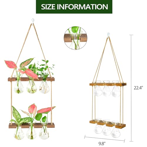 XXXFLOWER Wall Hanging Propagation Station 3 Bulb Vase 2 Tiers Brown | Hanging Plant Holder Wall Hanging Planters for Indoor Plants, Wall Decor for Living Room Office - size: Brown-6 Bulb Vase