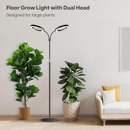 Halo Grow Lights, Dual-Head 6000K LED Floor Plant Light with Base | Full Spectrum 168LEDs Grow Lamp, 3 Color Modes, Timer 6/12/16H, 5 Dimmable Levels, 67'' Adjustable Height, Gooseneck - size: Dual Head（Height 67'')