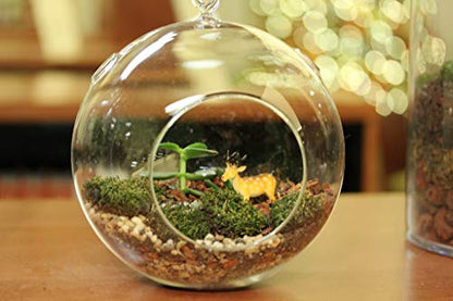 WGVI WGV Hanging Terrarium Globe, Width 7", Height 8", DIY Air Succulent Planter, Clear Glass Vase Orb with Flat Bottom, Candle Holder for Windowsill Outdoor Garden Decor, 1 Piece - size: 7" Flat Bottom