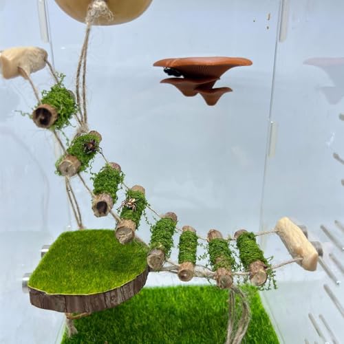 Jumping Spider Rope Bridge,A Solid Wood Climbing Suspension Bridge, a Jumping Spider Enclosure Accessory, Handmade, a Spider Jump Platform, Used As a Decorative Accessory for Small Reptile Enclosures