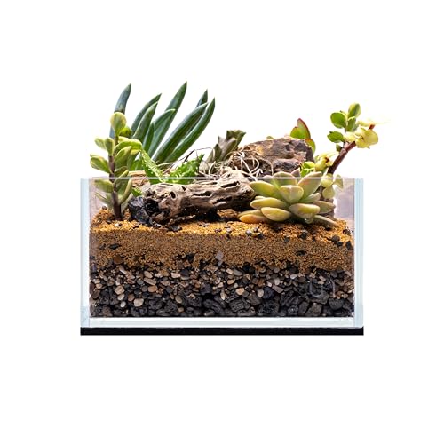 UNS Ultra Clear Rimless Tank - 0.5GAL | 2L - 6.29x6.29x3.14 | 16x16x8 CM, 5mm Glass Thickness, Leveling Mat Included - Low Iron, High Clarity Fish Tank w/ 45° Mitered Edge - [16S] - size: [16S] - 0.5 Gal - 6.29 x 6.29 x 3.14 in