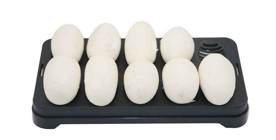 Repti-Hatch Snake Egg Incubation Tray Snake Lizard Leopard Gecko Ball Python Bearded Dragon