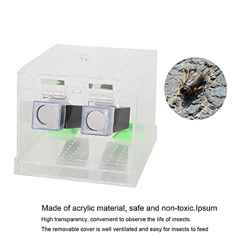 Cricket Keeper Acrylic Cricket Pen with Hiding Tubes Transparent Design Convenient for Cricket(L)