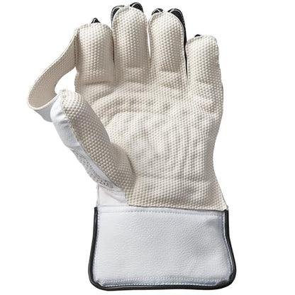 Gunn & Moore GM Aion Premium Cricket Wicket Keeping Premium Gloves ' Various Sizes (Adult/Youth/Boys Size) - style: AION - Youth Size