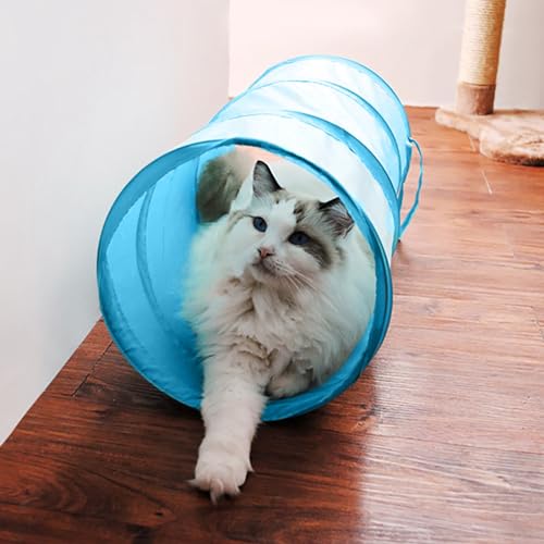 iCAGY Cat Tunnel for Indoor Small Cats Kittens Rabbits, Foldable Tube Toys | Interactive Pet Crinkle Pop Up Tunnel Play Toys, Relieve Cat Boredom, Sky Blue 20" - color: Sky Blue, size: 20 Inch (Pack of 1)