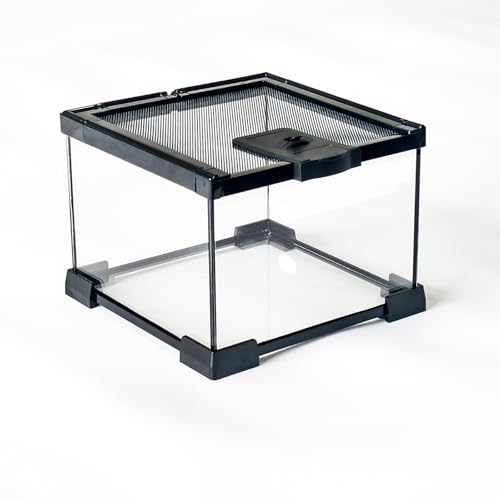 7 Gallon Glass Reptile Terrarium 12"x12"x12" Cube | Reptile Tank for Leopard Gecko, Hermit Crab, Snake, Frog, Tarantula, Isopod Enclosure - size: 12*12*12in