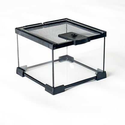 7 Gallon Glass Reptile Terrarium 12"x12"x12" Cube | Reptile Tank for Leopard Gecko, Hermit Crab, Snake, Frog, Tarantula, Isopod Enclosure - size: 12*12*12in