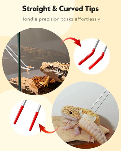 Pawfly 2 Pack 11" Long Reptile Feeding Tweezers, Straight & Curved Stainless Steel Reptile Feeding Tongs, Safe Feeder Tool for Lizard, Bearded Dragon, Gecko & Snake