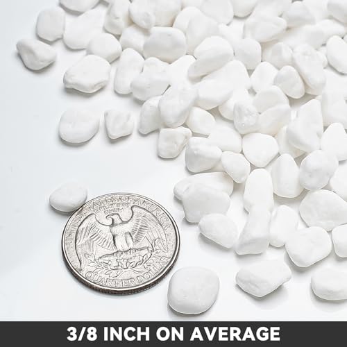 onlyfire 2lbs White Gravel Pebbles, 1/5" Natural Decorative River Rocks | Aquarium Gravel, Crushed Gravel Stone, For Indoor Plants, Vases, Succulents, Outdoor Garden Landscaping and Home Decor - color: White, size: 2 Pounds